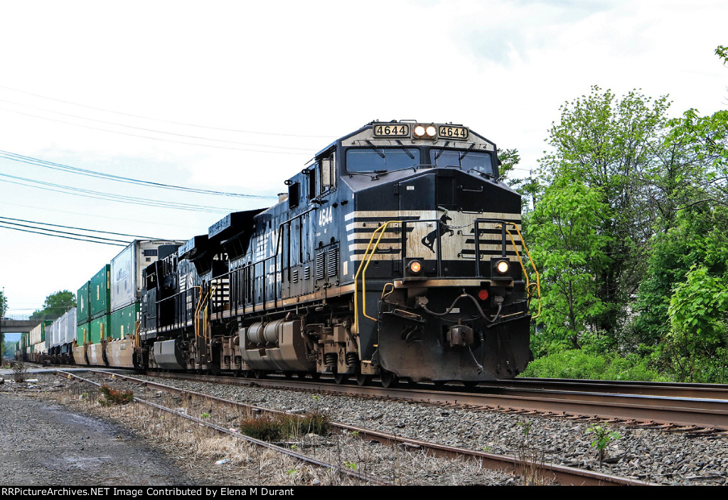 NS 4644 on 22X